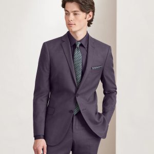 EN345 Slim Fit Deep Purple Solid Suit
